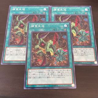 Predaplast Normal JP055