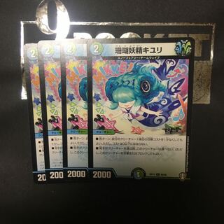 Coral Fairy Kiuri C 89/95