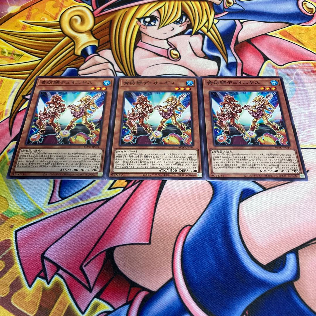 黄紡鮄デュオニギス ノーマル JP034