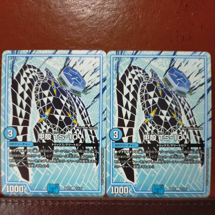 zrn120 set discount Carapace TS-10