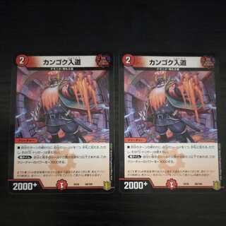 scorpionfish (Scorpaenopsis cirrhosa)