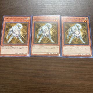 Light Road Hunter Raikou Normal