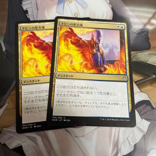 ドビンの拒否権 2枚