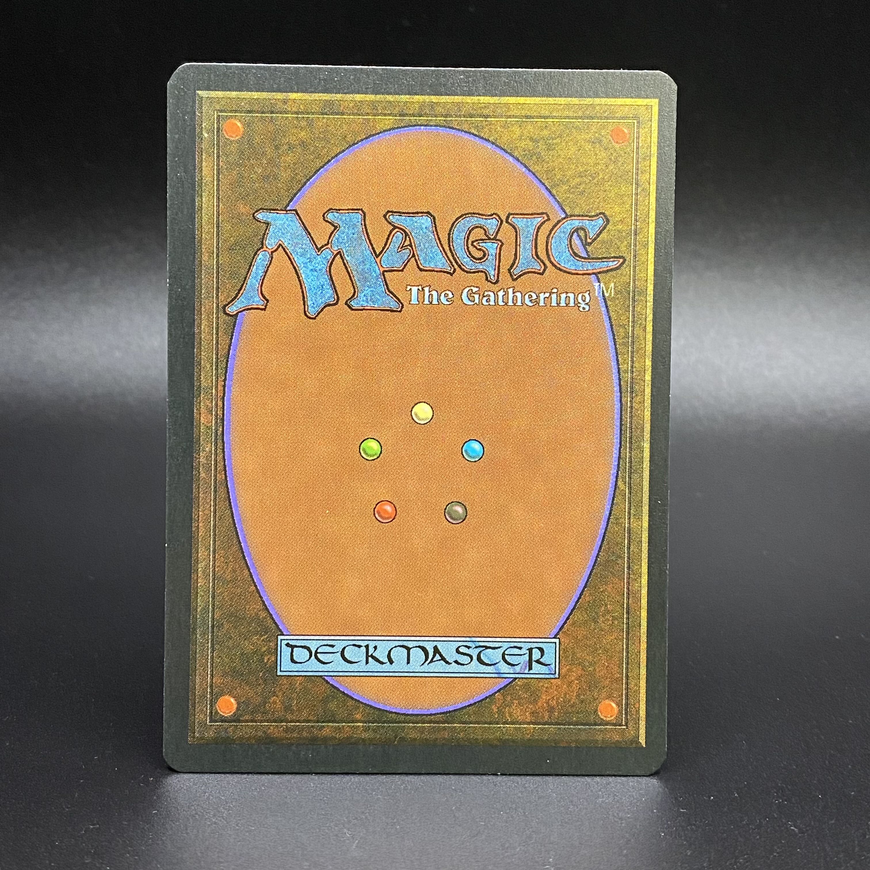 Il Tabernacolo della Valle di Pendrell /The Tabernacle at Pendrell Vale Italian 1枚