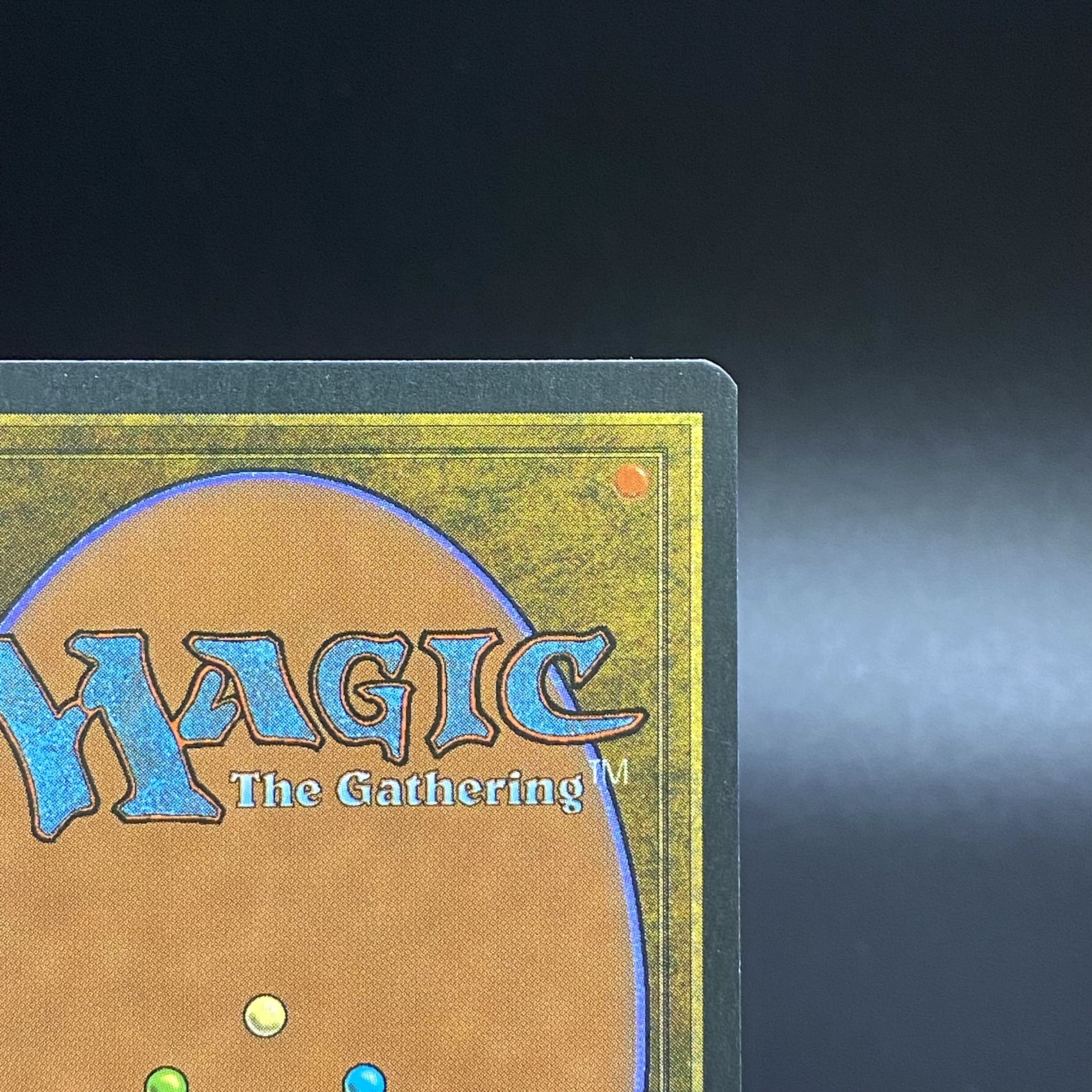 Il Tabernacolo della Valle di Pendrell /The Tabernacle at Pendrell Vale Italian 1枚