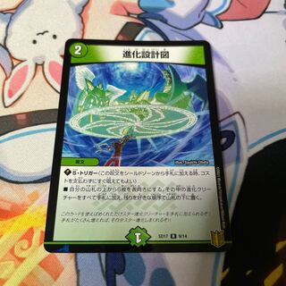 進化設計図 R-foil 9/14