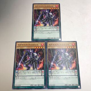 Igknight Paladin Normal JP029 3