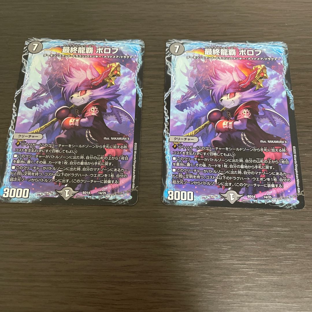 Final Dragon Heights Borov 14/25