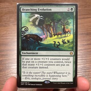Branching Evolution Rare 29/78