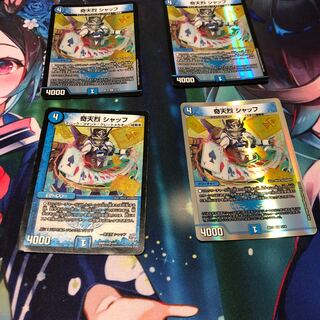 Kitanetsu Schaff VR 5/18