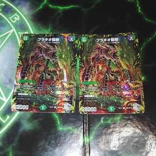 Haruki-san Brachio Ryuki