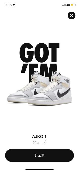 ナイキエアジョーダン 1 ko 29cm