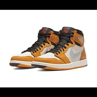 エアジョーダン1エレメント　ゴアテックスカリー 28cm