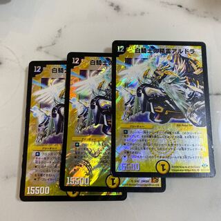 白騎士の精霊アルドラ