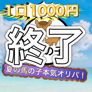 夏の馬の子本気オリパ!(説明事項)