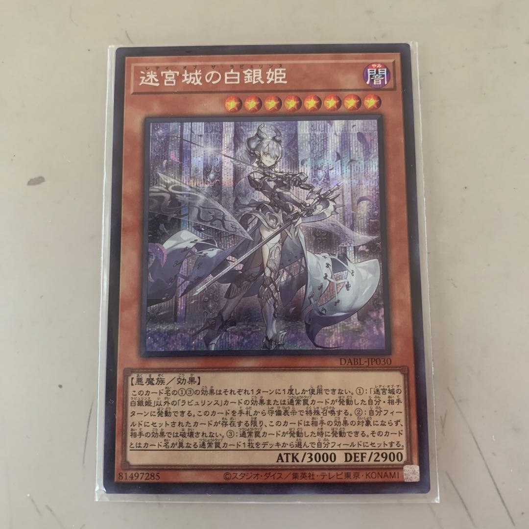 The Silver Princess of the Labyrinth Castle Secret