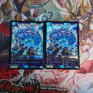 水上第九院 シャコガイル 二枚セット