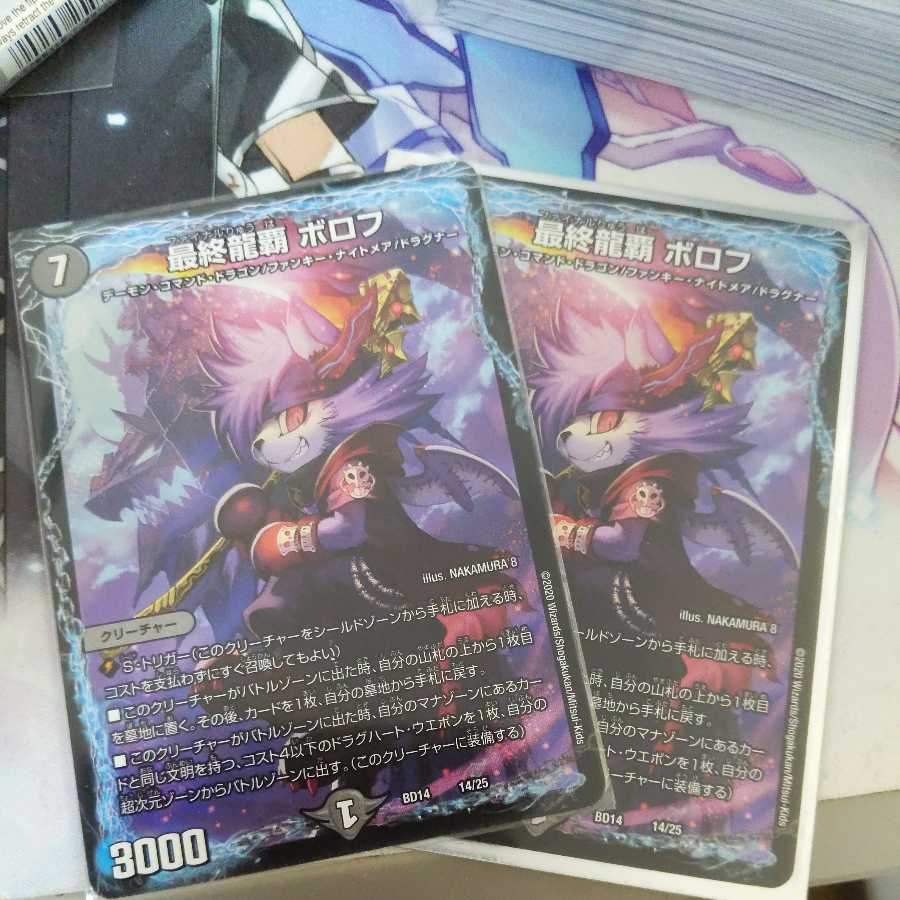 Final Dragon Heights Borov