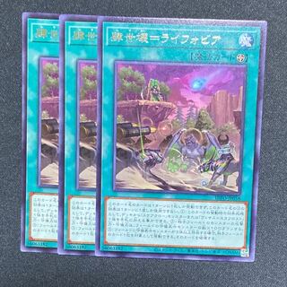 Yu-Gi-Oh! Four Seikatsu Raifobia