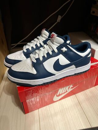 ナイキ ダンク NIKE DUNK Valerian Blue 27cm