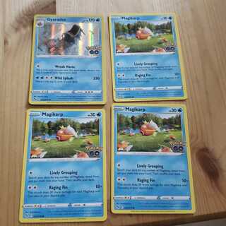 英語　ポケモンgo コイキング　ギャラドス　有田満弘