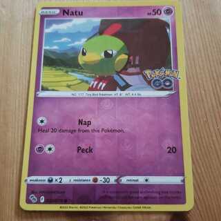 English Pokémon Go Natu Livahoro HYOGONOSUKE HYOGONOSUKE