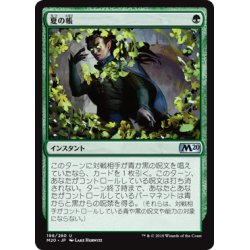 マジック：ザ・ギャザリング - MTG  FOIL veil of summer  M20 英 M20 夏の帳 英語版 FOIL veil of summer フォイル MTG