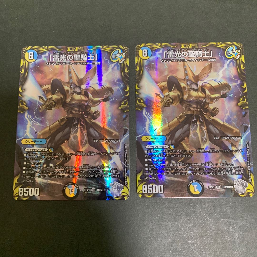 Holy Knight of Lightning Lightning Silver Treasure 2 pieces