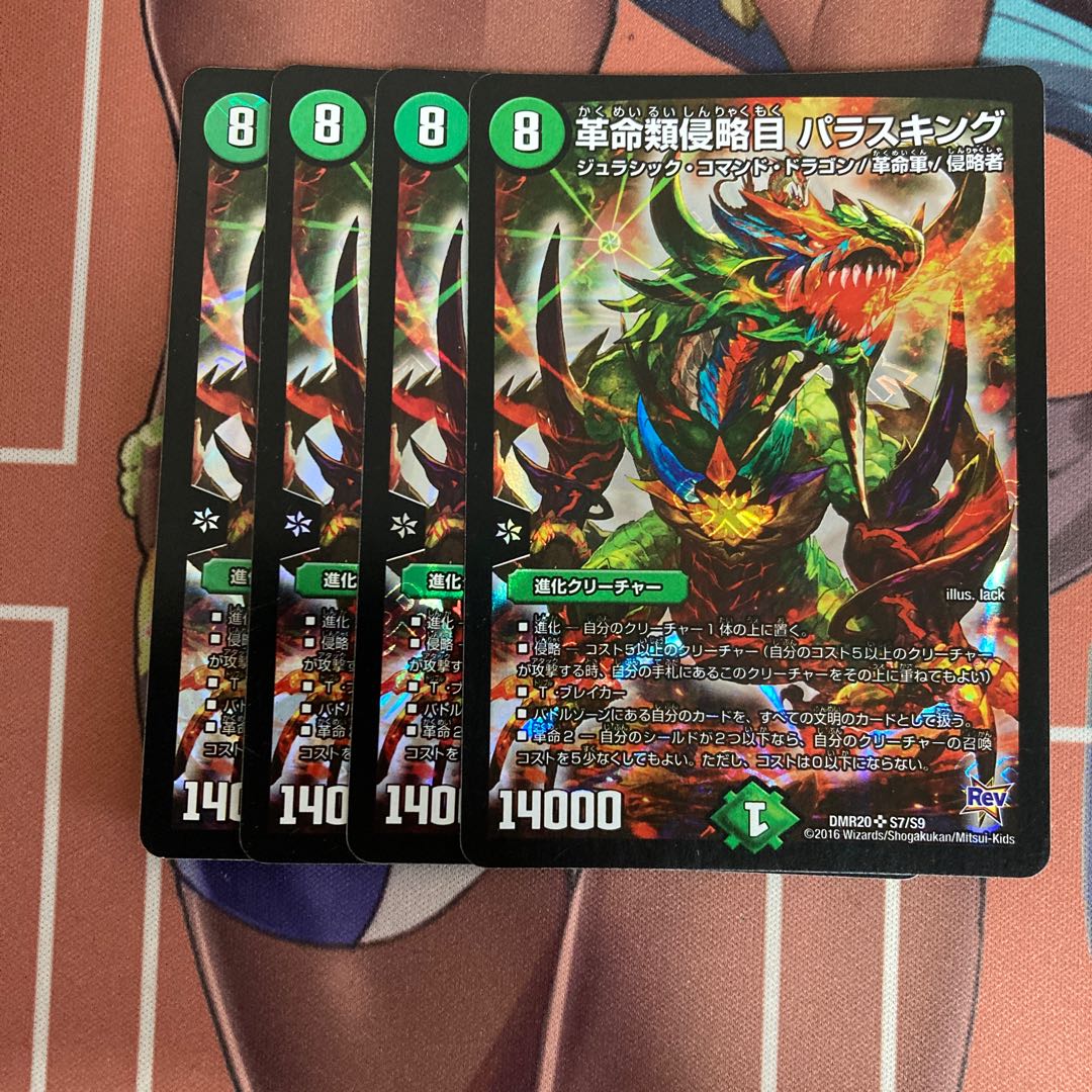 革命類侵略目 パラスキング