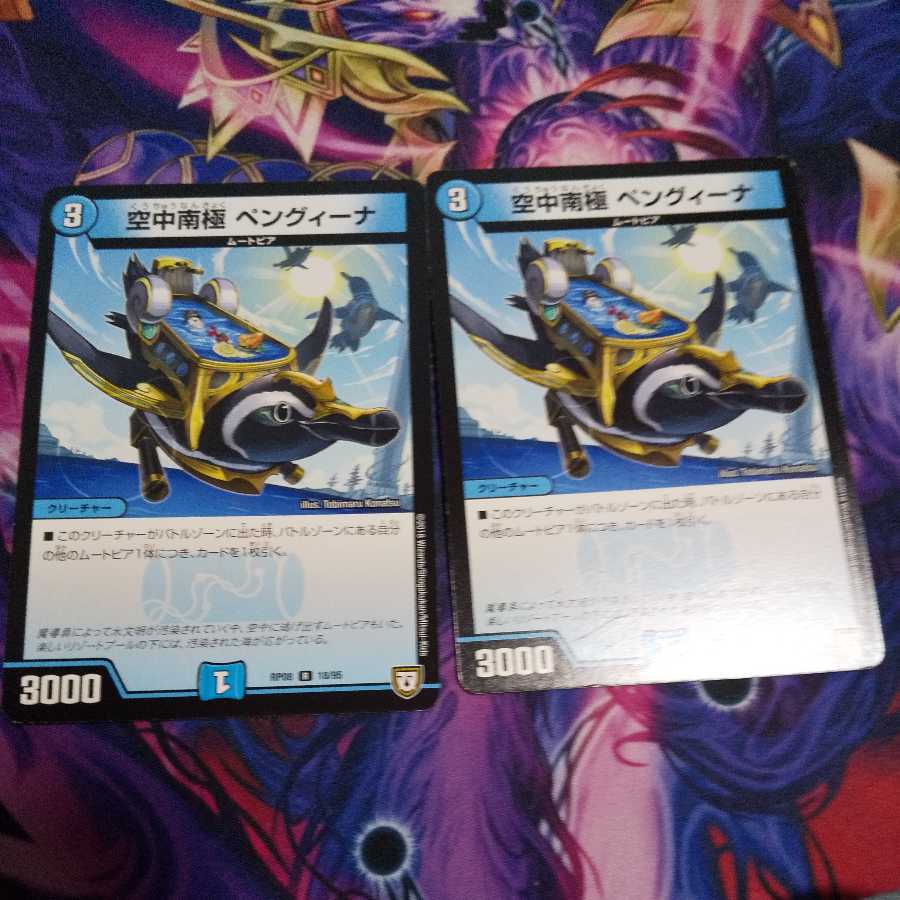 Aerial Antarctica Penguina R