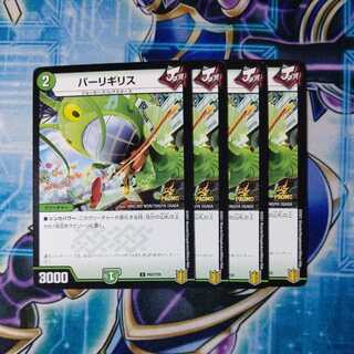 Perligi Squirrel Promo Set of 4