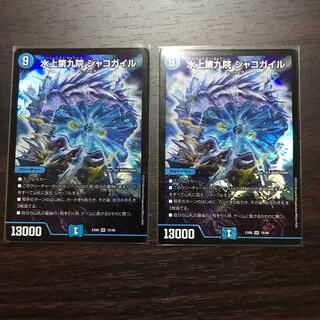 水上第九院シャコガイル 2枚