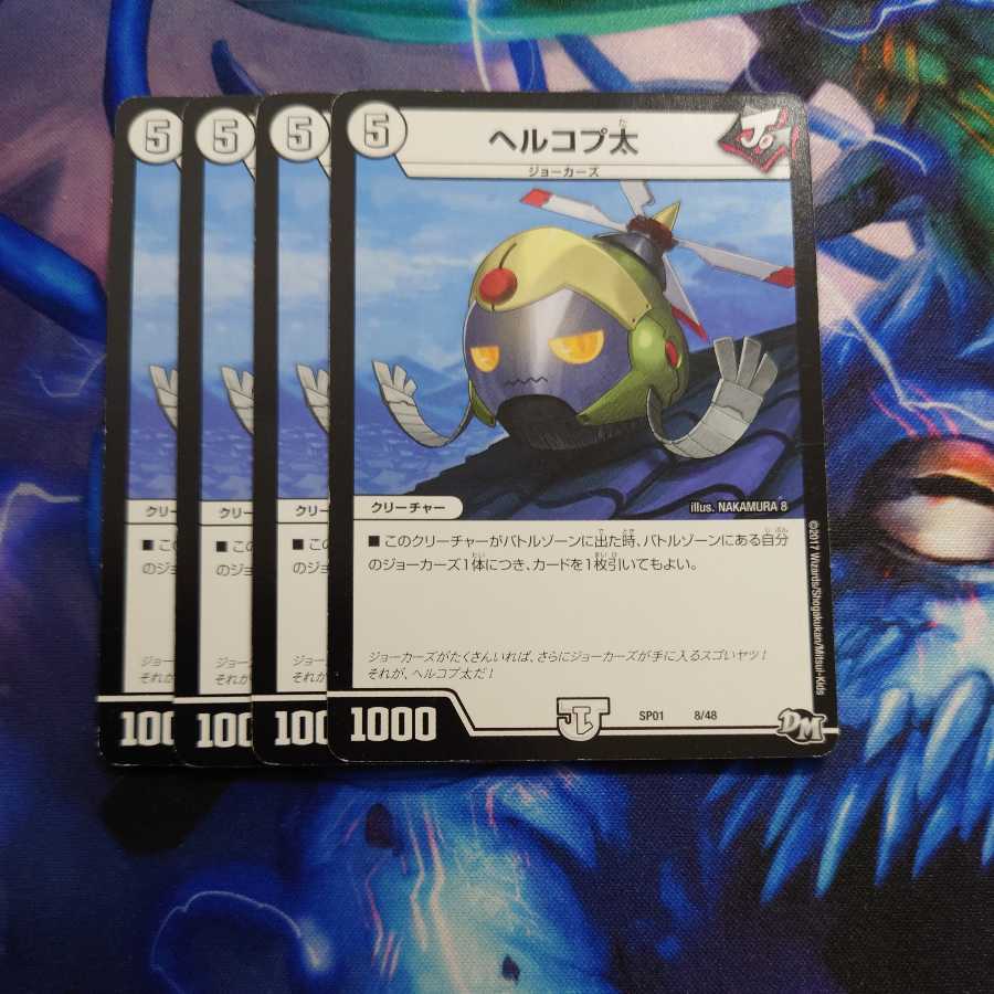 Hercoptotus oxycephalus (species of hogfish)