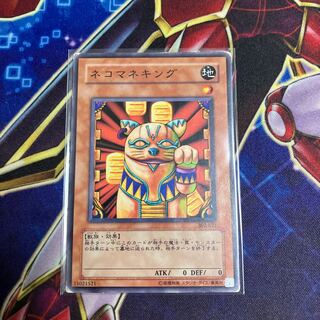 Neko Mane King Normal with scratches