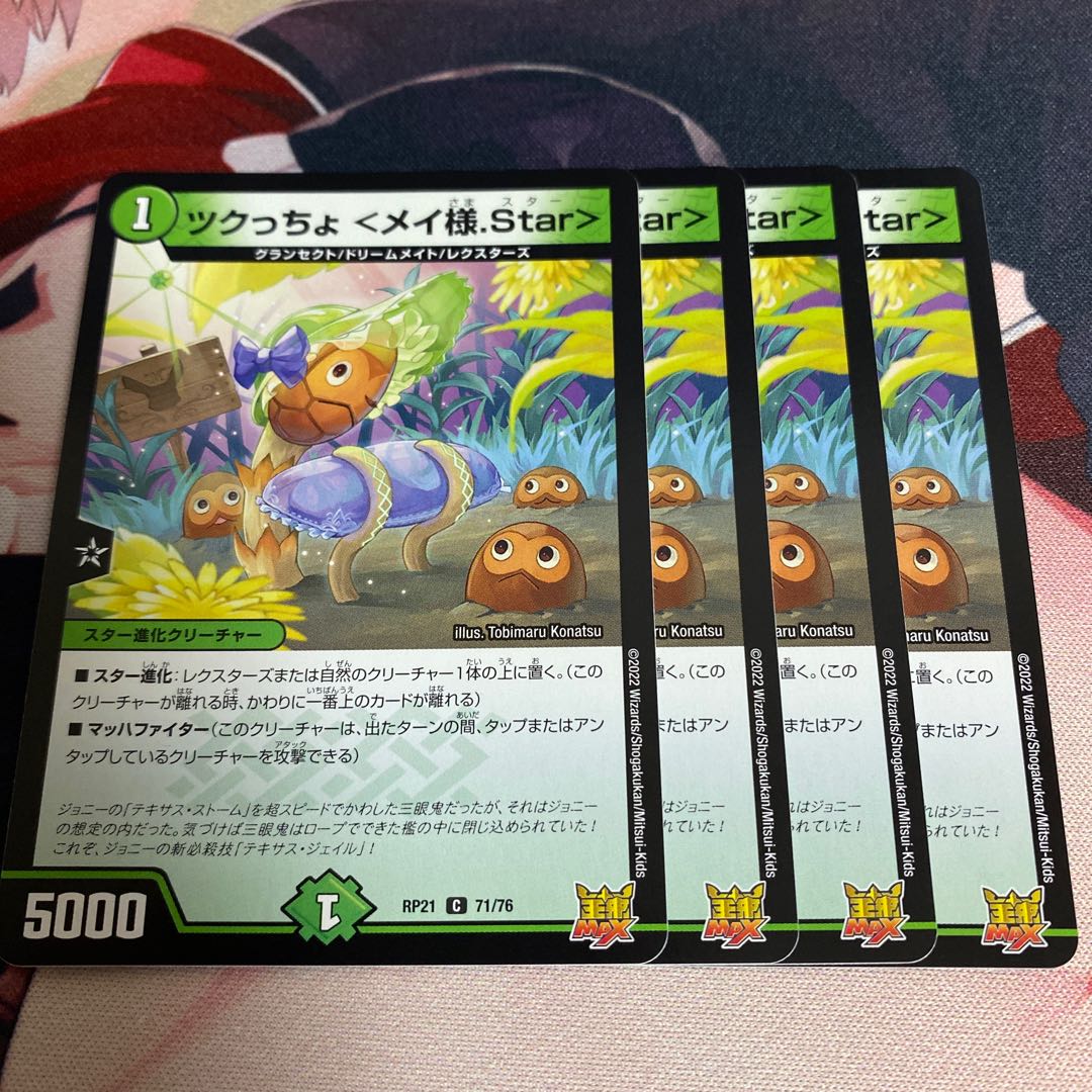 Tsukucho <Rosa-sama.Star>.