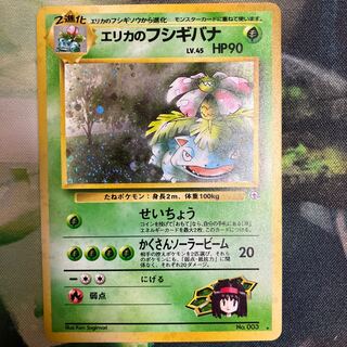 Erika's Venusaur Old Back