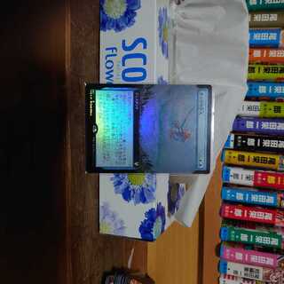 タッサの介入拡張foil(日)