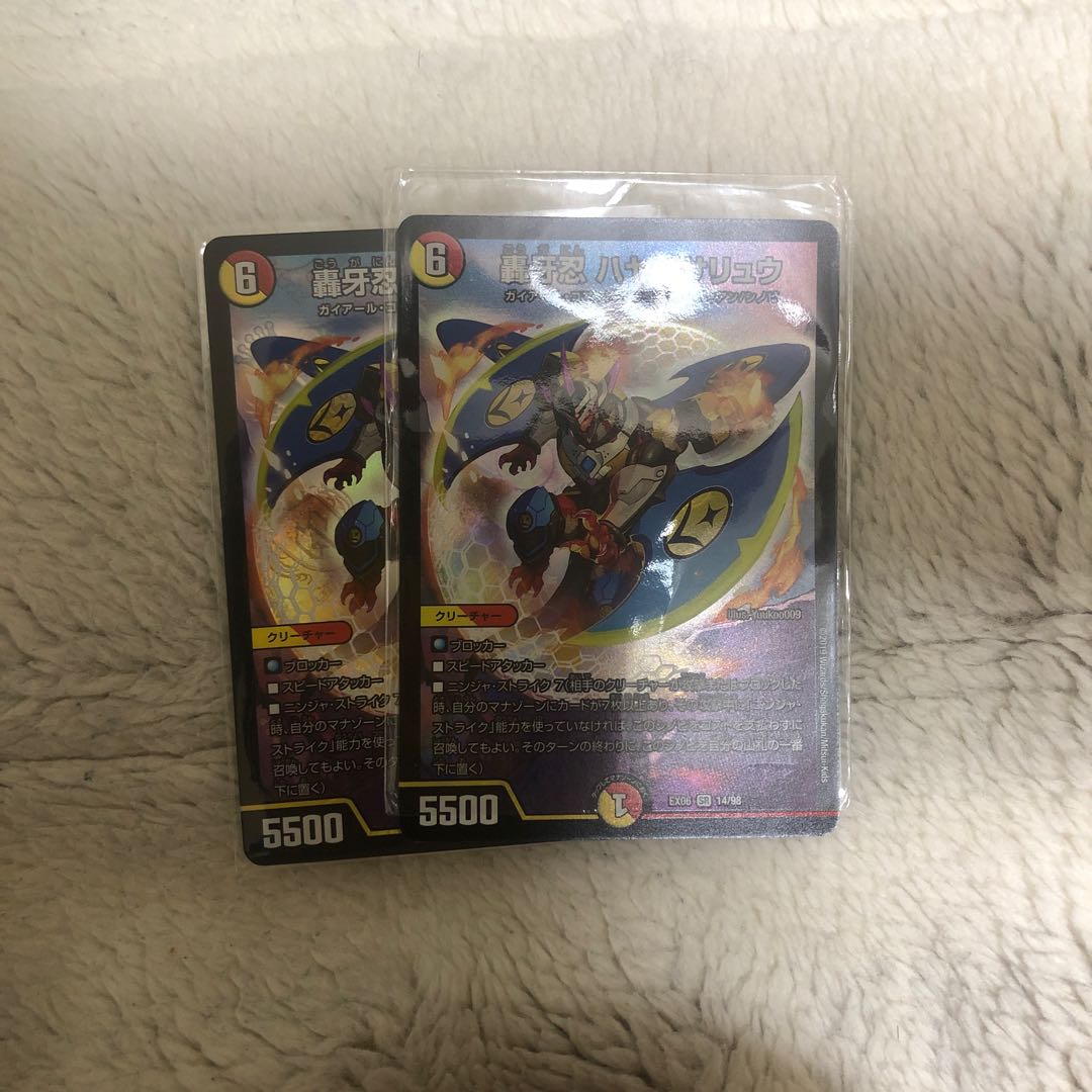 ハヤブサリュウ