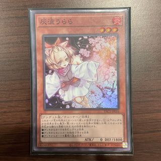 Ash Blossom & Joyous Spring Super Rare JP016