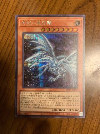 Blue-Eyes Alternative White Dragon Secret Rare JP008