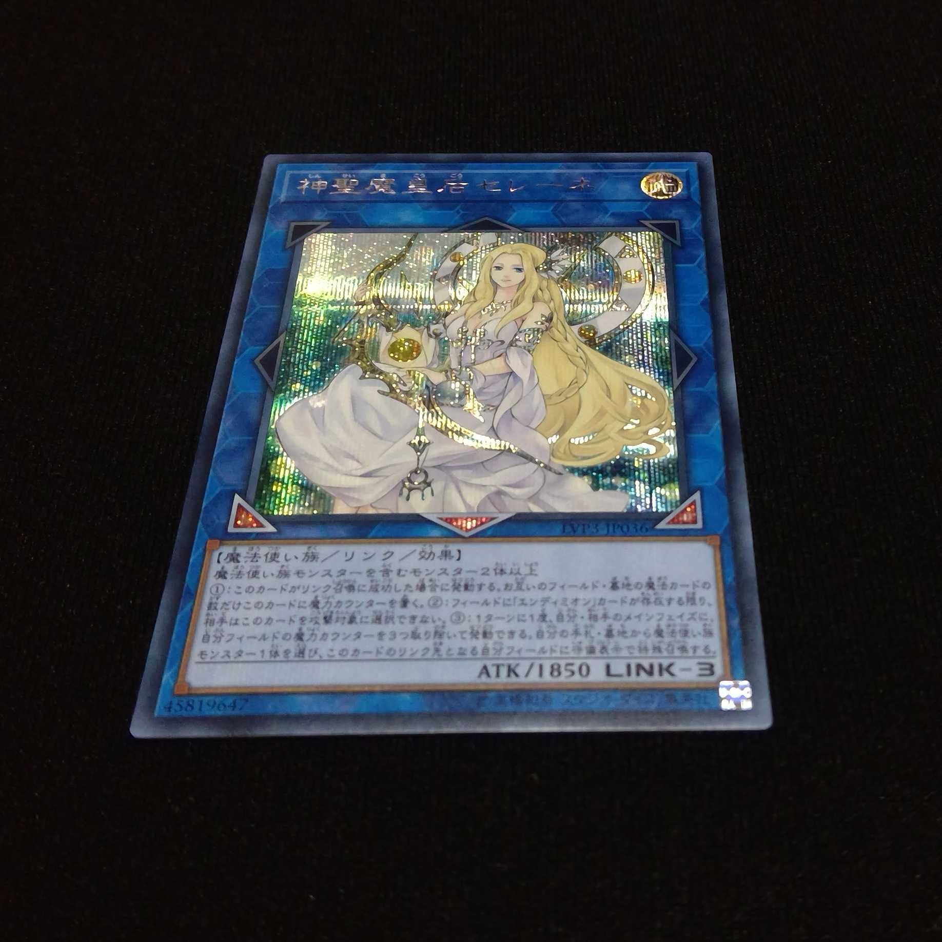 神聖魔皇后セレーネ　シク