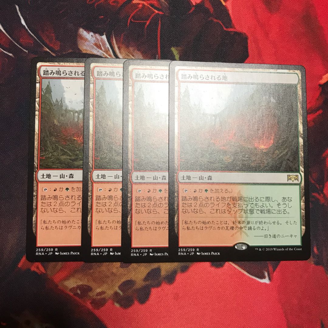 踏み鳴らされる地4枚 ニオ様専用