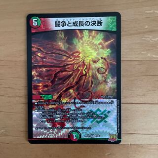 Fighting Conflict and Growth Decision VR 8/76