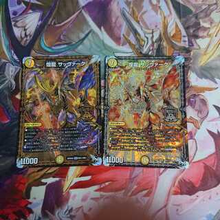 煌龍 サッヴァーク 二枚セット