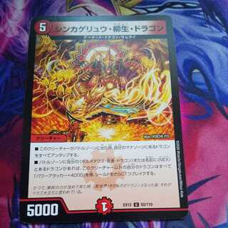 Sinkage Ryu, Ryu Life, Dragon U