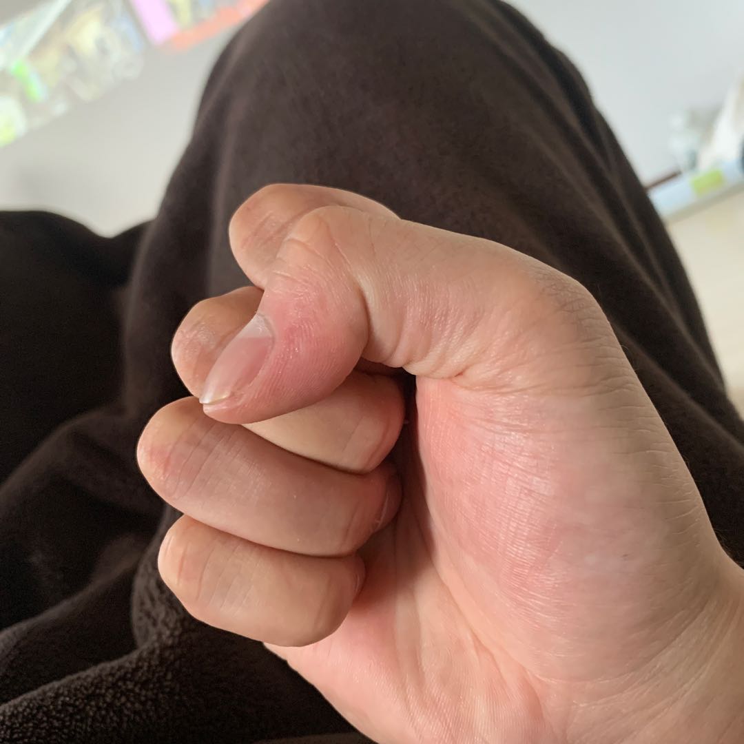 Magnolia praecocissima