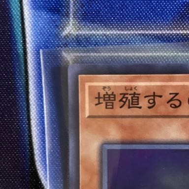 Maxx "C" Super Rare JP004