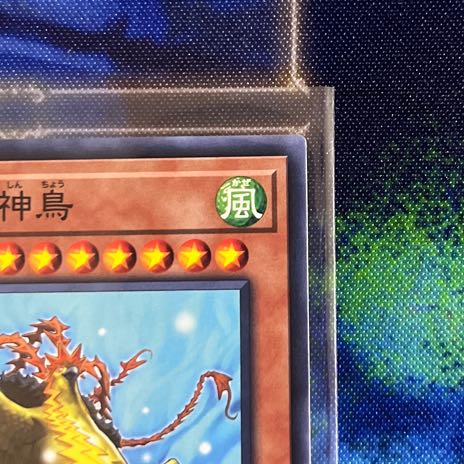 Mist Valley Apex Avian Normal JP501