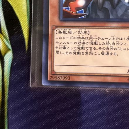 Mist Valley Apex Avian Normal JP501