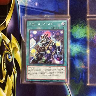 Small World Normal rare JP069